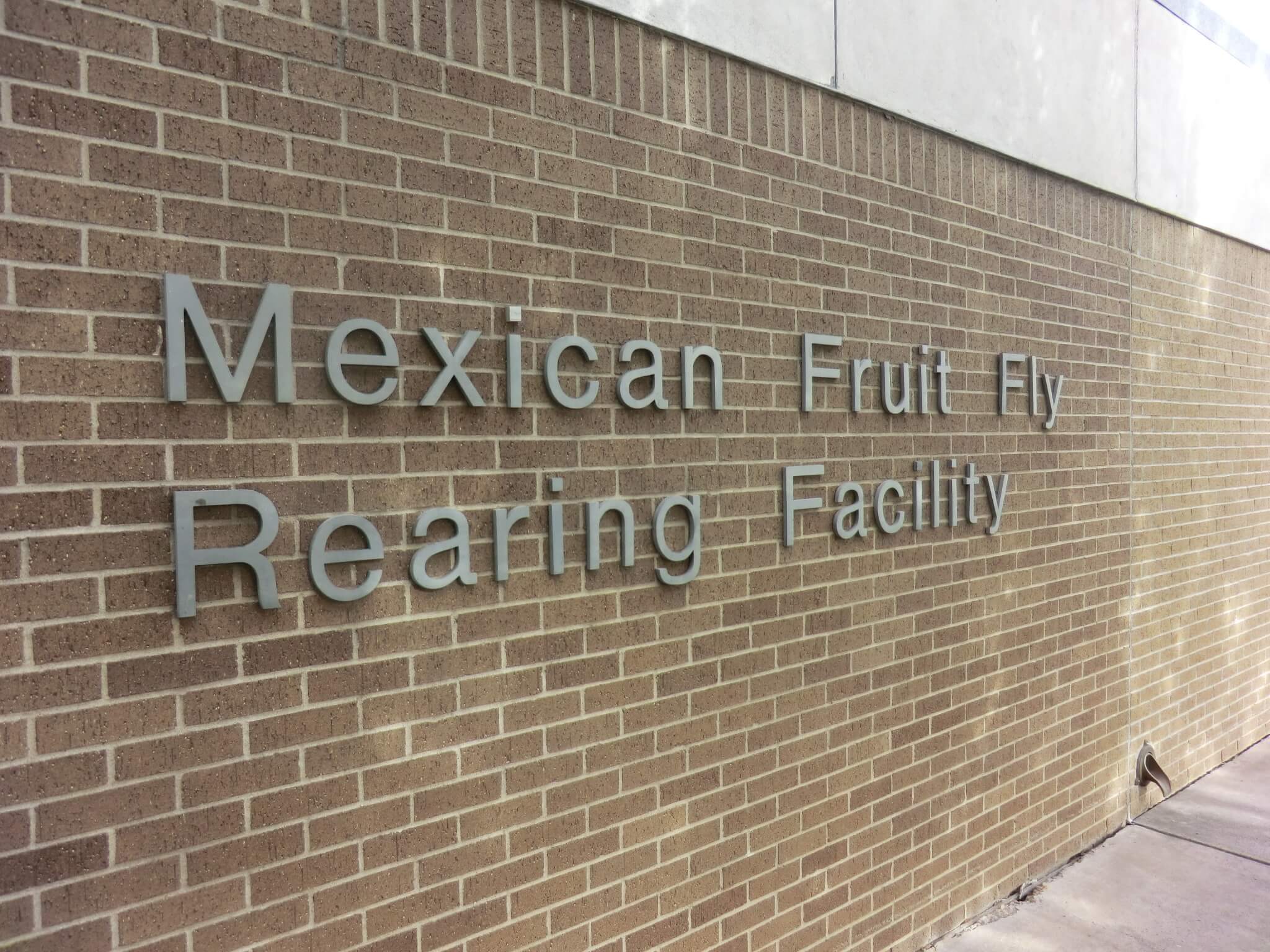 A brick wall with a sign that reads Mexican Fruit Fly Rearing Facility